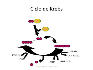 Ciclo de Krebs




  Bioquimica 2012/13. Denise Colito
 