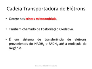 Cadeia Transportadora de Elétrons
• Ocorre nas cristas mitocondriais.

• Também chamado de Fosforilação Oxidativa.

• É um sistema de transferência de elétrons
  provenientes do NADH2 e FADH2 até a molécula de
  oxigênio.



                    Bioquimica 2012/13. Denise Colito
 