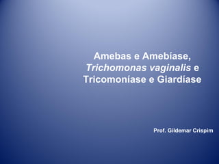 Amebas e Amebíase,
Trichomonas vaginalis e
Tricomoníase e Giardíase

Prof. Gildemar Crispim

 