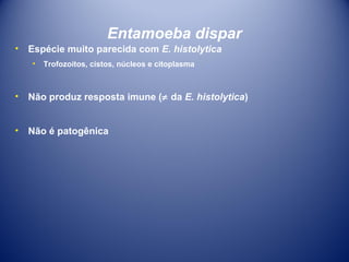 Entamoeba dispar
•

Espécie muito parecida com E. histolytica
•

Trofozoítos, cistos, núcleos e citoplasma

•

Não produz resposta imune (≠ da E. histolytica)

•

Não é patogênica

 