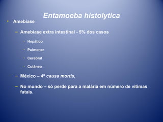 •

Amebíase

Entamoeba histolytica

– Amebíase extra intestinal - 5% dos casos
٠ Hepático
٠ Pulmonar
٠ Cerebral
٠ Cutâneo

– México – 4ª causa mortis,
– No mundo – só perde para a malária em número de vitimas
fatais.

 