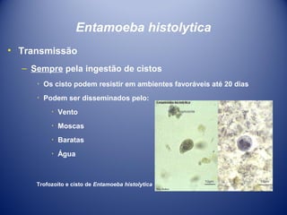 Entamoeba histolytica
• Transmissão
– Sempre pela ingestão de cistos
٠ Os cisto podem resistir em ambientes favoráveis até 20 dias
٠ Podem ser disseminados pelo:
٠ Vento
٠ Moscas
٠ Baratas
٠ Água

Trofozoíto e cisto de Entamoeba histolytica

 