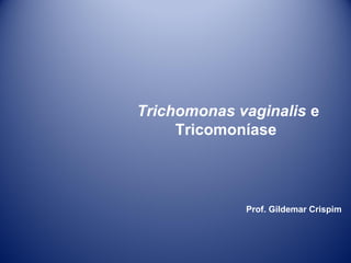 Trichomonas vaginalis e
Tricomoníase

Prof. Gildemar Crispim

 