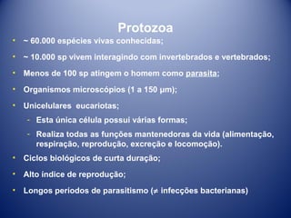 Protozoa
•

~ 60.000 espécies vivas conhecidas;

•

~ 10.000 sp vivem interagindo com invertebrados e vertebrados;

•

Menos de 100 sp atingem o homem como parasita;

•

Organismos microscópios (1 a 150 μm);

•

Unicelulares eucariotas;
­ Esta única célula possui várias formas;
­ Realiza todas as funções mantenedoras da vida (alimentação,
respiração, reprodução, excreção e locomoção).

•

Ciclos biológicos de curta duração;

•

Alto índice de reprodução;

•

Longos períodos de parasitismo (≠ infecções bacterianas)

 