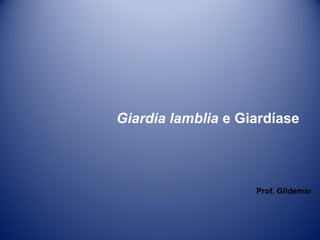 Giardia lamblia e Giardíase

Prof. Gildemar

 