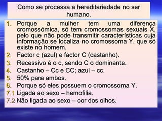 Como se processa a hereditariedade no serComo se processa a hereditariedade no ser
humanohumano..
1.1. Porque a mulher tem uma diferençaPorque a mulher tem uma diferença
cromossómica, só tem cromossomas sexuais X,cromossómica, só tem cromossomas sexuais X,
pelo que não pode transmitir características cujapelo que não pode transmitir características cuja
informação se localiza no cromossoma Y, que sóinformação se localiza no cromossoma Y, que só
existe no homem.existe no homem.
2.2. Factor c (azul) e factor C (castanho).Factor c (azul) e factor C (castanho).
3.3. Recessivo é o c, sendo C o dominante.Recessivo é o c, sendo C o dominante.
4.4. Castanho – Cc e CC; azul – cc.Castanho – Cc e CC; azul – cc.
5.5. 50% para ambos.50% para ambos.
6.6. Porque só eles possuem o cromossoma Y.Porque só eles possuem o cromossoma Y.
7.17.1 Ligada ao sexo – hemofilia.Ligada ao sexo – hemofilia.
7.27.2 Não ligada ao sexo – cor dos olhos.Não ligada ao sexo – cor dos olhos.
 