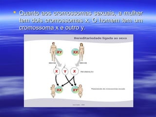  Quanto aos cromossomas sexuais, a mulherQuanto aos cromossomas sexuais, a mulher
tem dois cromossomas x. O homem tem umtem dois cromossomas x. O homem tem um
cromossoma x e outro y.cromossoma x e outro y.
 