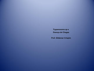 Trypanosoma sp e
Doença de Chagas
Prof. Gildemar Crispim

 