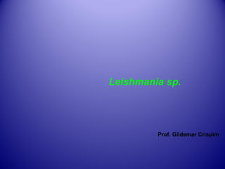 Leishmania sp.

Prof. Gildemar Crispim

 