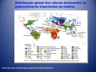 Distribuição global dos vetores dominantes ou
potencialmente importantes da malária.

Fonte: http://www.medicalecology.org/diseases/malaria/malaria.htm

 