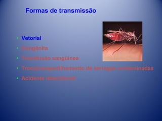Formas de transmissão

• Vetorial
• Congênita
• Transfusão sangüínea
• Troca/compartilhamento de seringas contaminadas
• Acidente laboratorial

 