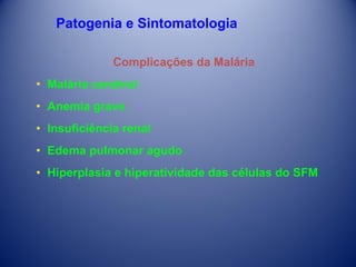Patogenia e Sintomatologia
Complicações da Malária
• Malária cerebral
• Anemia grave
• Insuficiência renal
• Edema pulmonar agudo
• Hiperplasia e hiperatividade das células do SFM

 
