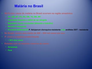 Malária no Brasil
• 99,5% dos casos de malária no Brasil ocorrem na região amazônica
• AC, AM, AP, PA, RO, RR, TO, MA, MT
• População dispersa e difícil de ser atingida
• Migrações locais constantes (alimento e trabalho)
• Moradia inadequada
• Provável existência de P. falciparum cloroquino-resistente e do anófeles DDT - resistente

• No Brasil, ocorre uma média de 400 – 500 mil casos por ano
• P. vivax é a espécie predominante
• ~ 80% dos casos

• Estados com os maiores números de casos:
• Amazonas
• Pará

 