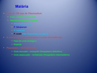Malária
• Mais de 150 spp de Plasmodium
• Aves, roedores e macacos
• Apenas 4 infectam o homem
• Plasmodium vivax
• P. falciparum
• P. malariae
• P. ovale (não encontrado no Brasil)

• A morfologia dos plasmódios é muito diversificada
• Fase do ciclo biológico
• Espécie

• Plasmódio – HETEROXENO
• Ciclo sexuado – mosquito (Hospedeiro definitivo)
• Ciclo assexuado – vertebrado (Hospedeiro intermediário)

 