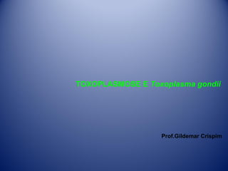 TOXOPLASMOSE E Toxoplasma gondii

Prof.Gildemar Crispim

 