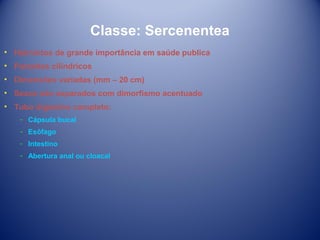 Classe: Sercenentea
• Helmintos de grande importância em saúde publica
• Parasitas cilíndricos
• Dimensões variadas (mm – 20 cm)
• Sexos são separados com dimorfismo acentuado
• Tubo digestivo completo:
­ Cápsula bucal
­ Esôfago
­ Intestino
­ Abertura anal ou cloacal

 