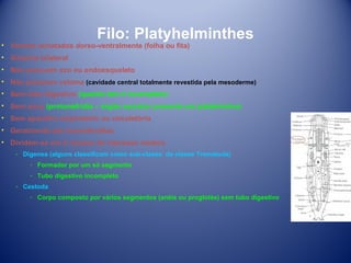 Filo: Platyhelminthes

• Vermes achatados dorso-ventralmente (folha ou fita)
• Simetria bilateral
• Não possuem exo ou endoesqueleto

• Não possuem celoma (cavidade central totalmente revestida pela mesoderme)
• Sem tubo digestivo (quanto tem é incompleto)
• Sem anus (protonefrídia – órgão excretor presente em platelmintos)
• Sem aparelho respiratório ou circulatório
• Geralmente são hermafroditas
• Dividem-se em 2 classes de interesse médico
­ Digenea (alguns classificam como sub-classe da classe Trematoda)
­ Formador por um só segmento
­ Tubo digestivo incompleto
­ Cestoda
­ Corpo composto por vários segmentos (anéis ou proglotés) sem tubo digestivo

 