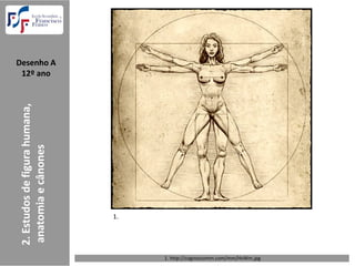Desenho A  
 12º ano                                                 sf
 2. Estudos de figura humana,
 anatomia e cânones




                                1.




                                     1. http://cognoscomm.com/mm/HvWm.jpg 
 