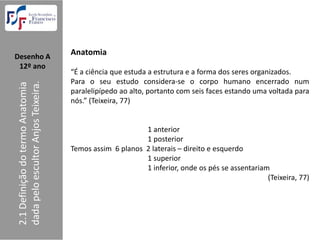 Desenho A  
                                     Anatomia
 12º ano
                                     “É a ciência que estuda a estrutura e a forma dos seres organizados.
                                     Para o seu estudo considera‐se o corpo humano encerrado num
2.1 Definição do termo Anatomia 
dada pelo escultor Anjos Teixeira.




                                     paralelipípedo ao alto, portanto com seis faces estando uma voltada para
                                     nós.” (Teixeira, 77)


                                                            1 anterior 
                                                            1 posterior 
                                     Temos assim  6 planos  2 laterais – direito e esquerdo
                                                            1 superior 
                                                            1 inferior, onde os pés se assentariam 
                                                                                                  (Teixeira, 77)
 
