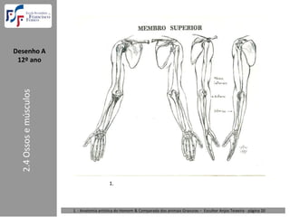 Desenho A  
 12º ano
  2.4 Ossos e músculos




                                            1.



                         1. : Anatomia artística do Homem & Comparada dos animais Gravuras – Escultor Anjos Teixeira ‐ página 20 
 