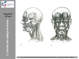 Desenho A  
 12º ano
  1. Estudo da cabeça humana




                               1.                                                         2.




                               1 e 2: Anatomia artística do Homem & Comparada dos animais Gravuras – Escultor Anjos Teixeira – página 9
 