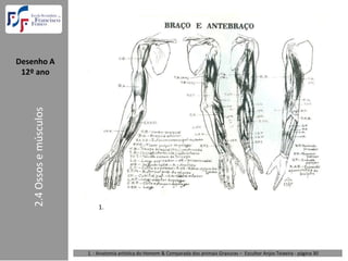 Desenho A  
 12º ano
    2.4 Ossos e músculos




                               1.




                           1. : Anatomia artística do Homem & Comparada dos animais Gravuras – Escultor Anjos Teixeira ‐ página 30 
 