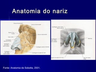 Anatomia do narizAnatomia do nariz
Fonte: Anatomia de Sobotta, 2001.
 