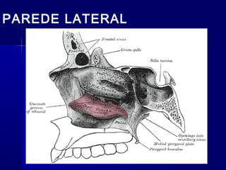 PAREDE LATERAL
 