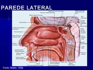 PAREDE LATERAL
Fonte: Natter, 1998.
 