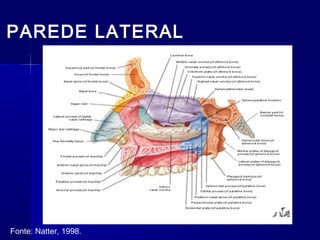 PAREDE LATERAL
Fonte: Natter, 1998.
 