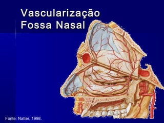 VascularizaçãoVascularização
Fossa NasalFossa Nasal
Fonte: Natter, 1998.
 