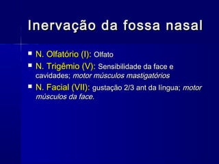 Inervação da fossa nasalInervação da fossa nasal
 N. Olfatório (I):N. Olfatório (I): OlfatoOlfato
 N. Trigêmio (V):N. Trigêmio (V): Sensibilidade da face eSensibilidade da face e
cavidades;cavidades; motor músculos mastigatóriosmotor músculos mastigatórios
 N. Facial (VII):N. Facial (VII): gustação 2/3 ant da língua;gustação 2/3 ant da língua; motormotor
músculos da face.músculos da face.
 