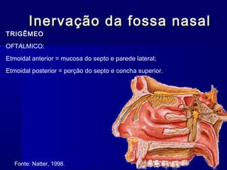 Inervação da fossa nasalInervação da fossa nasal
TRIGÊMEO
OFTALMICO:
Etmoidal anterior = mucosa do septo e parede lateral;
Etmoidal posterior = porção do septo e concha superior.
Fonte: Natter, 1998.
 