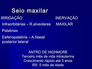 • ANTRO DE HIGHMORE
• Terceiro mês de vida intrauterina
• Crescimento rápido até 3 anos
• RX: 5 mês de idade
Seio maxilarSeio maxilar
IRRIGAÇÃO
Infraorbitárias – R.alveolares
Palatinas
Esfenopalatina – A.Nasal
posterior lateral
INERVAÇÃO
MAXILAR
 