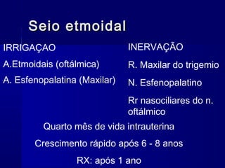 Quarto mês de vida intrauterina
Crescimento rápido após 6 - 8 anos
RX: após 1 ano
Seio etmoidalSeio etmoidal
INERVAÇÃO
R. Maxilar do trigemio
N. Esfenopalatino
Rr nasociliares do n.
oftálmico
IRRIGAÇAO
A.Etmoidais (oftálmica)
A. Esfenopalatina (Maxilar)
 