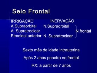Sexto mês de idade intrauterina
Após 2 anos penetra no frontal
RX: a partir de 7 anos
Seio FrontalSeio Frontal
IRRIGAÇÃO
A.Supraorbital
A. Supratroclear
Etmoidal anterior
INERVAÇÃO
N.Supraorbital
N.frontal
N. Supratroclear
 