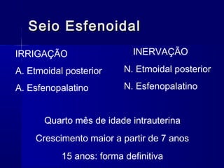 Seio EsfenoidalSeio Esfenoidal
A. Etmoidal posterior
A. Esfenopalatino
IRRIGAÇÃO INERVAÇÃO
N. Etmoidal posterior
N. Esfenopalatino
Quarto mês de idade intrauterina
Crescimento maior a partir de 7 anos
15 anos: forma definitiva
 