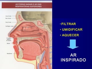 • FILTRAR
• UMIDIFICAR
• AQUECER
AR
INSPIRADO
 