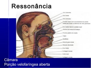 •Câmara
•Porção velofaríngea aberta
Ressonância
 