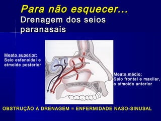 Para não esquecer...Para não esquecer...
Drenagem dos seiosDrenagem dos seios
paranasaisparanasais
Meato médio:
Seio frontal e maxilar,
e etmoide anterior
Meato superior:
Seio esfenoidal e
etmoide posterior
OBSTRUÇÃO A DRENAGEM = ENFERMIDADE NASO-SINUSAL
 