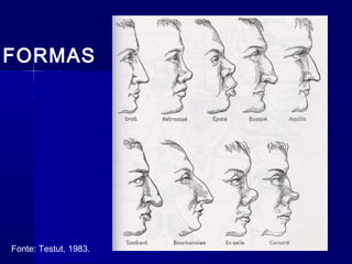 FORMAS
Fonte: Testut, 1983.
 