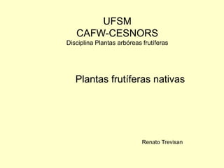 UFSM
CAFW-CESNORS
Disciplina Plantas arbóreas frutíferas
Plantas frutíferas nativas
Renato Trevisan
 