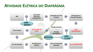 RALLY ADJUSTED VENTILATORY ASSISTATIVIDADE ELÉTRICA DO DIAFRÁGMA
SNC
Contração
Músculos
Inspiratórios
Expansão da Caixa
Torácica
Diminuição da
Pressão Alveolar
Fluxo
INSPIRATÓRIO
Pressão Alveolar
=
Pressão
Atmosférica
Interrupção do
Fluxo
Troca Gasosa
Fim da Ispiração
Recolhimento
Elástico
Início da Expiração
(passiva)
Fluxo EXPIRATÓRIO
DISP.
NEURO
DISP.
FLUXO
PRESSÃO
 