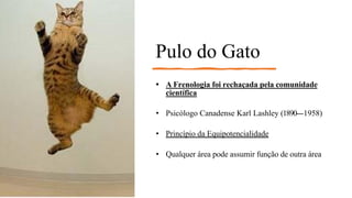 Pulo do Gato
• A Frenologia foi rechaçada pela comunidade
científica
• Psicólogo Canadense Karl Lashley (1890--‐1958)
• Princípio da Equipotencialidade
• Qualquer área pode assumir função de outra área
 