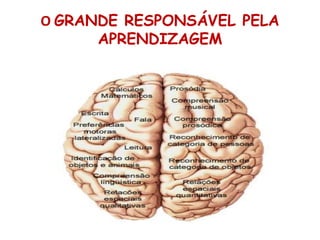 O GRANDE RESPONSÁVEL PELA
APRENDIZAGEM
 