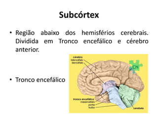 Subcórtex
• Região abaixo dos hemisférios cerebrais.
Dividida em Tronco encefálico e cérebro
anterior.
• Tronco encefálico
 