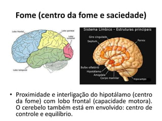 Fome (centro da fome e saciedade)
• Proximidade e interligação do hipotálamo (centro
da fome) com lobo frontal (capacidade motora).
O cerebelo também está em envolvido: centro de
controle e equilíbrio.
 