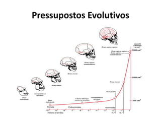 Pressupostos Evolutivos
 