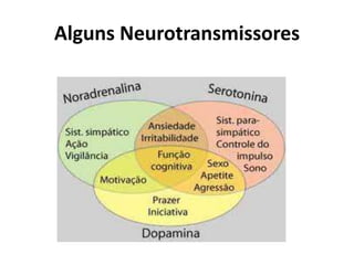 Alguns Neurotransmissores
 
