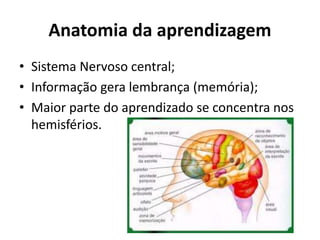 Anatomia da aprendizagem
• Sistema Nervoso central;
• Informação gera lembrança (memória);
• Maior parte do aprendizado se concentra nos
hemisférios.
 